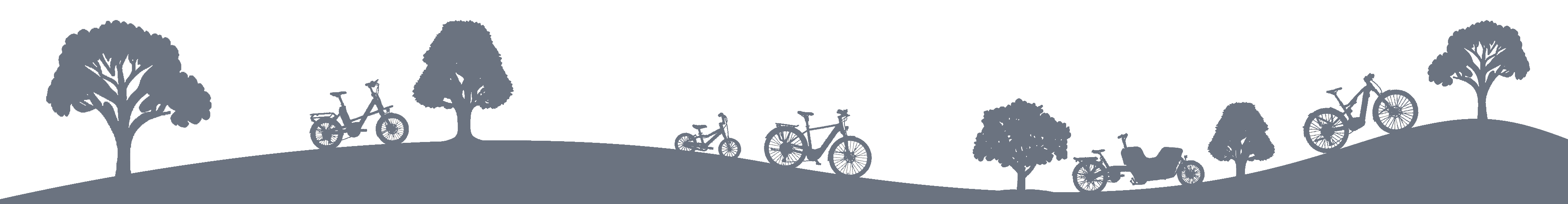  bike trenner